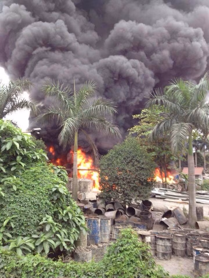 Nha may che bien nhua thong Quang Ninh boc chay ngun ngut-Hinh-2