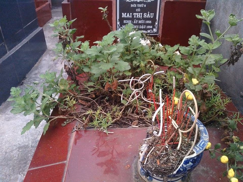 Can canh hang tram ngoi mo bi dap pha o Hai Phong