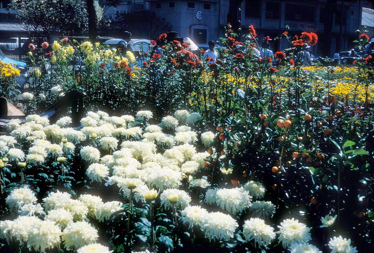 Giai đoạn trước 1975, mỗi khi Tết đến đường Nguyễn Huệ ở trung tâm Sài Gòn lại trở thành nơi tập trung mua bán hoa Tết cây cảnh nên con đường này khi đó còn được gọi là chợ hoa Tết Nguyễn Huệ.