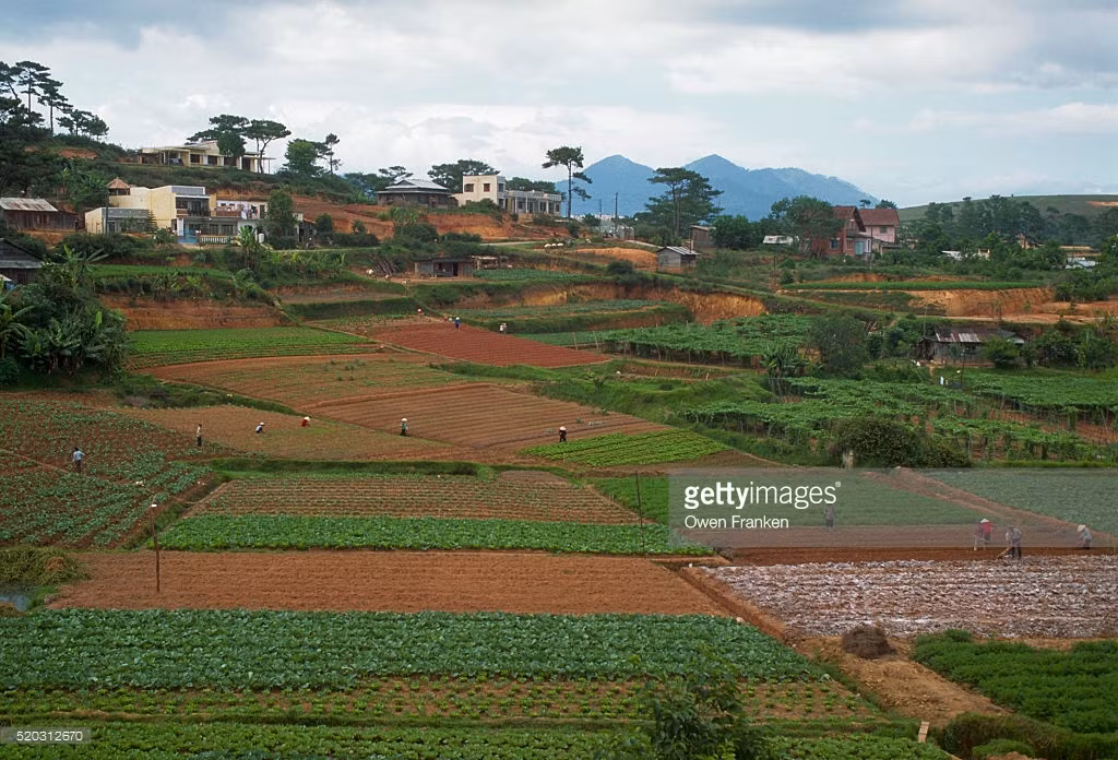 Anh tuyet voi ve ba mien Viet Nam dau thap nien 1990 (1)