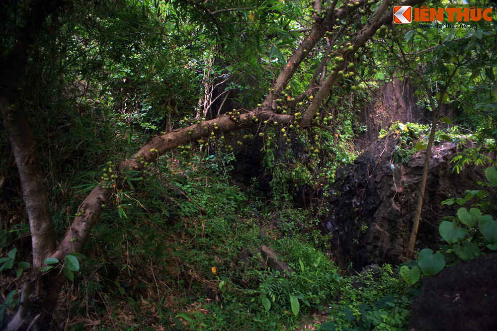 Với những du khách muốn tìm đến khoảng lặng của thiên nhiên trong những ngày đầu năm mới, hai khu Vườn quốc gia của tỉnh Đắk Lắk là Vườn quốc gia Chư Yang Sin và Vườn quốc gia Yok Don sẽ là sự lựa chọn tuyệt vời.