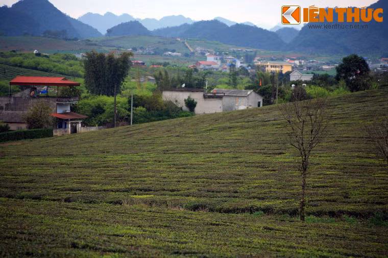 Thị trấn Mộc Châu (Mộc Châu, Sơn La) có khí hậu mát mẻ, trong lành, được bao phủ bởi những nông trường và đồi chè xanh mát. Quanh thị trấn có nhiều thắng cảnh đẹp như hang Dơi, thác Dải Yếm, rừng thông Bản Áng...