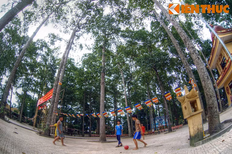 Không có những công trình xây dựng bề thế, nét nổi bật của chùa Bửu Quang là khu vườn rất rộng, được che phủ bằng những tán cây um tùm.