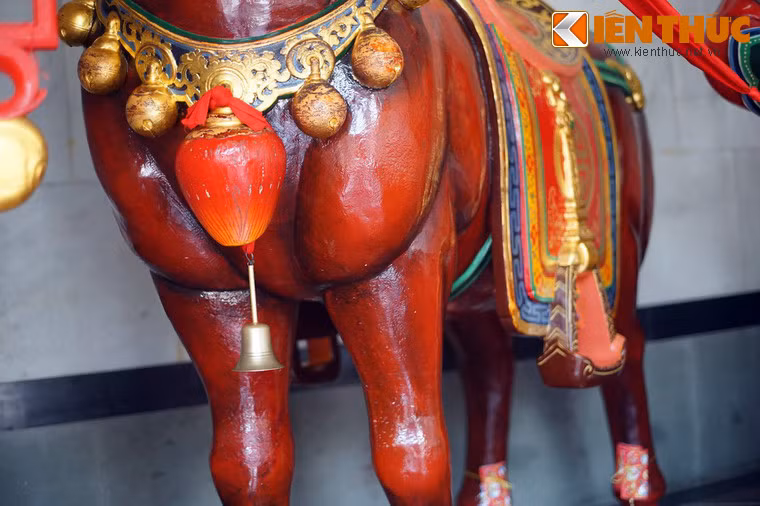 Việc sờ vào ức ngựa và rung quả chuông treo dưới cổ ngựa cũng được cho là sẽ đem lại điều may mắn, tốt lành.