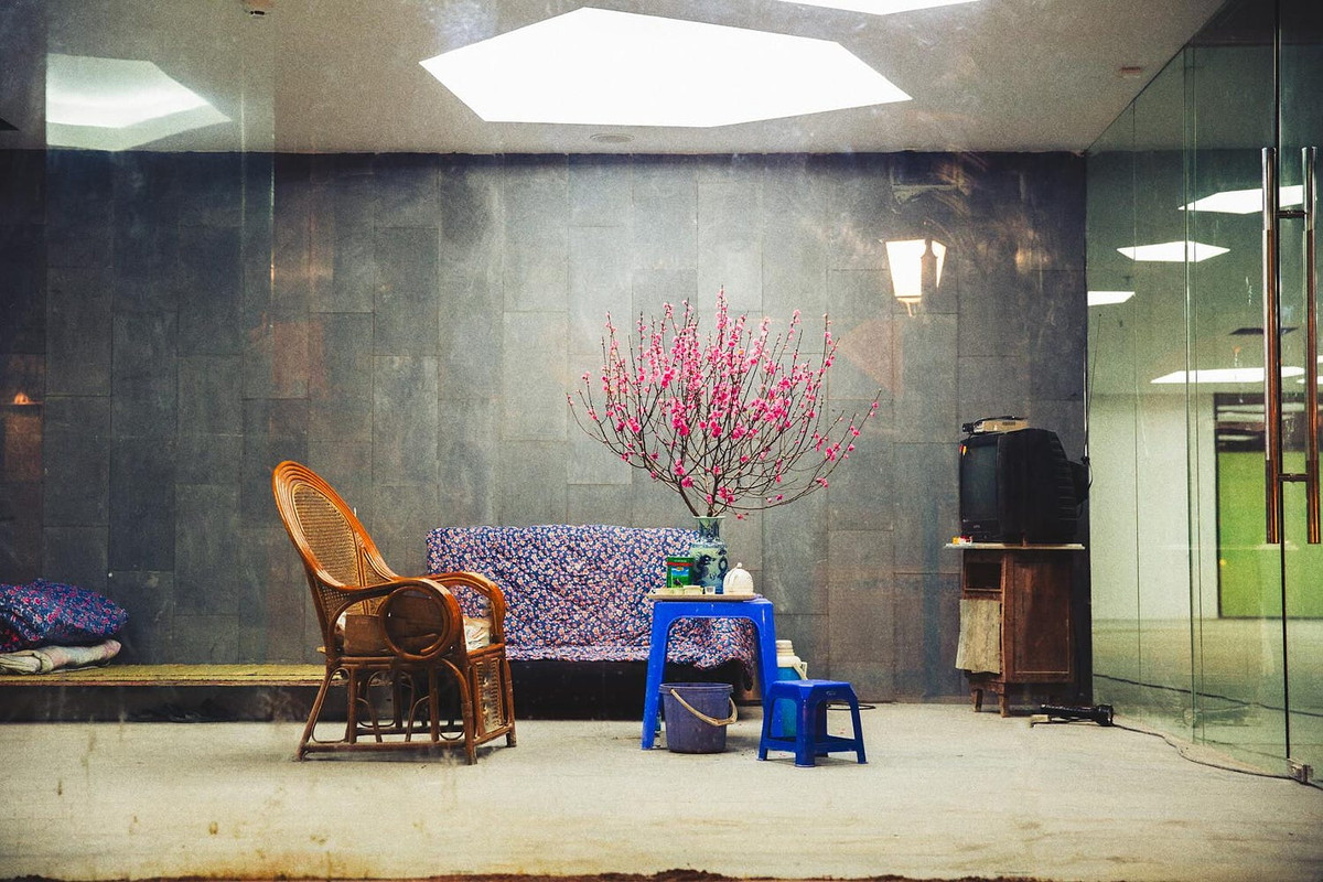 Cành đào làm nên không khí Tết trong một tòa nhà đang được xây dựng ở Hà Nội. Ảnh: Roger Stonehouse - 500px.com