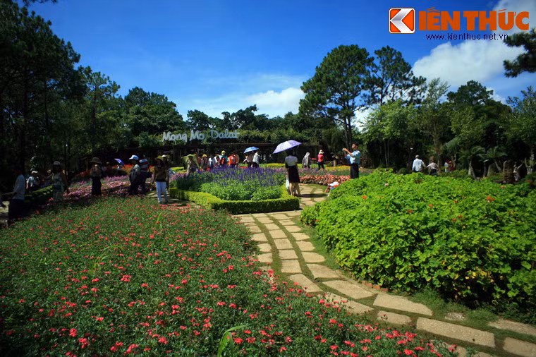 Nằm ở phường 8, Đồi Mộng Mơ được ví như một Đà Lạt thu nhỏ ngập tràn sắc hoa rực rỡ, là sự pha trộn hài hòa giữa những tuyệt tác thiên nhiên và công trình kiến trúc mang đậm dấu ấn tinh hoa dân tộc Việt.