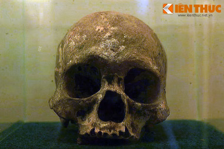 Họp sọ một người phụ nữ trung niên thuộc nền văn hóa Óc Eo (thế kỷ 1-6 SCN), hiện vật của Bảo tàng tỉnh Kiên Giang.
