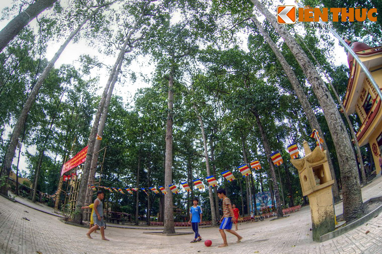 Không có những công trình kiến trúc gây ấn tượng mạnh như chùa Vạn Đức và Nam Thiên Nhất Trụ, nét nổi bật của chùa Bửu Quang là khu vườn rất rộng, được che phủ bằng những tán cây um tùm. Một số cây cổ thụ đã tồn tại từ khi chùa được hình thành đến nay.