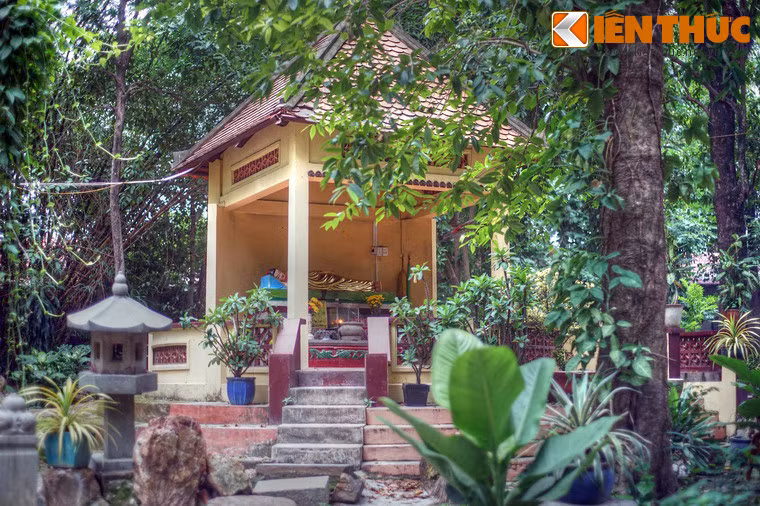 Với bề dày lịch sử cùng cảnh trí đẹp, chùa Bửu Quang ở Sài Gòn là địa điểm thu hút nhiều Phật tử và du khách thập phương đến chiêm bái, tham quan ở quận Thủ Đức. Mời quý độc giả xem video: Săn hàng độc tại chợ “đồng nát” Sài Gòn. Nguồn: VTC1