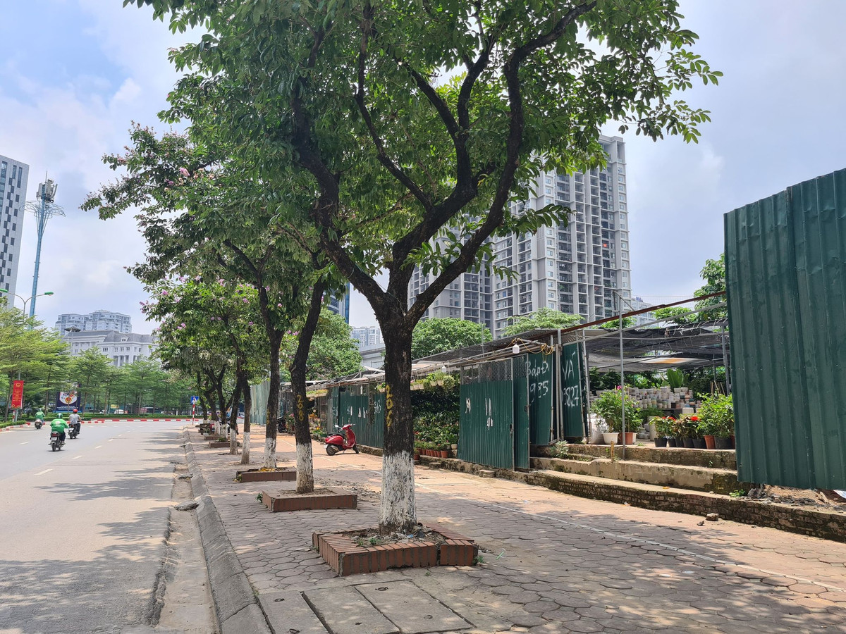 Lo dat D22 Dich Vong Hau bi “xe thit” kinh doanh trai phep bat chap lenh cua chu tich phuong?