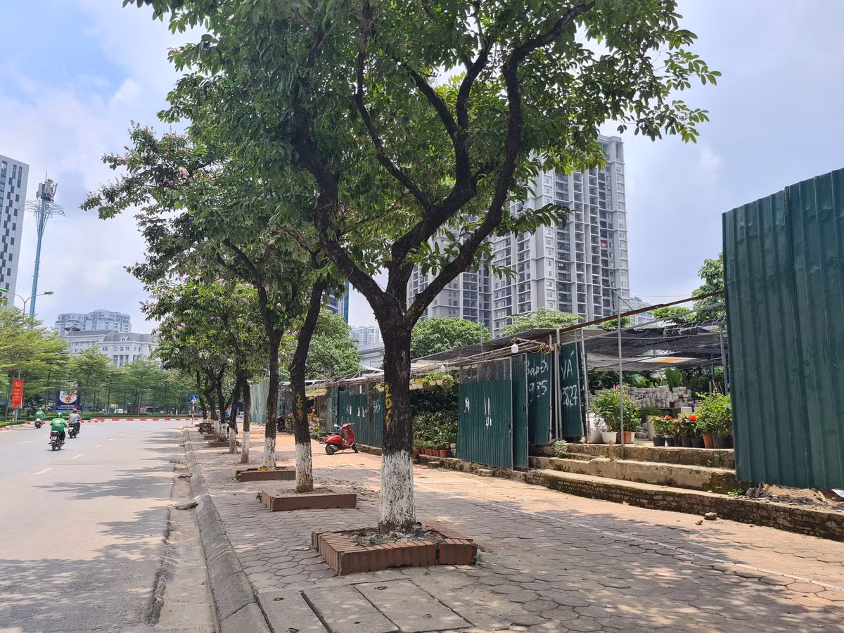 Lo dat D22 Dich Vong Hau bi “xe thit” kinh doanh trai phep bat chap lenh cua chu tich phuong?