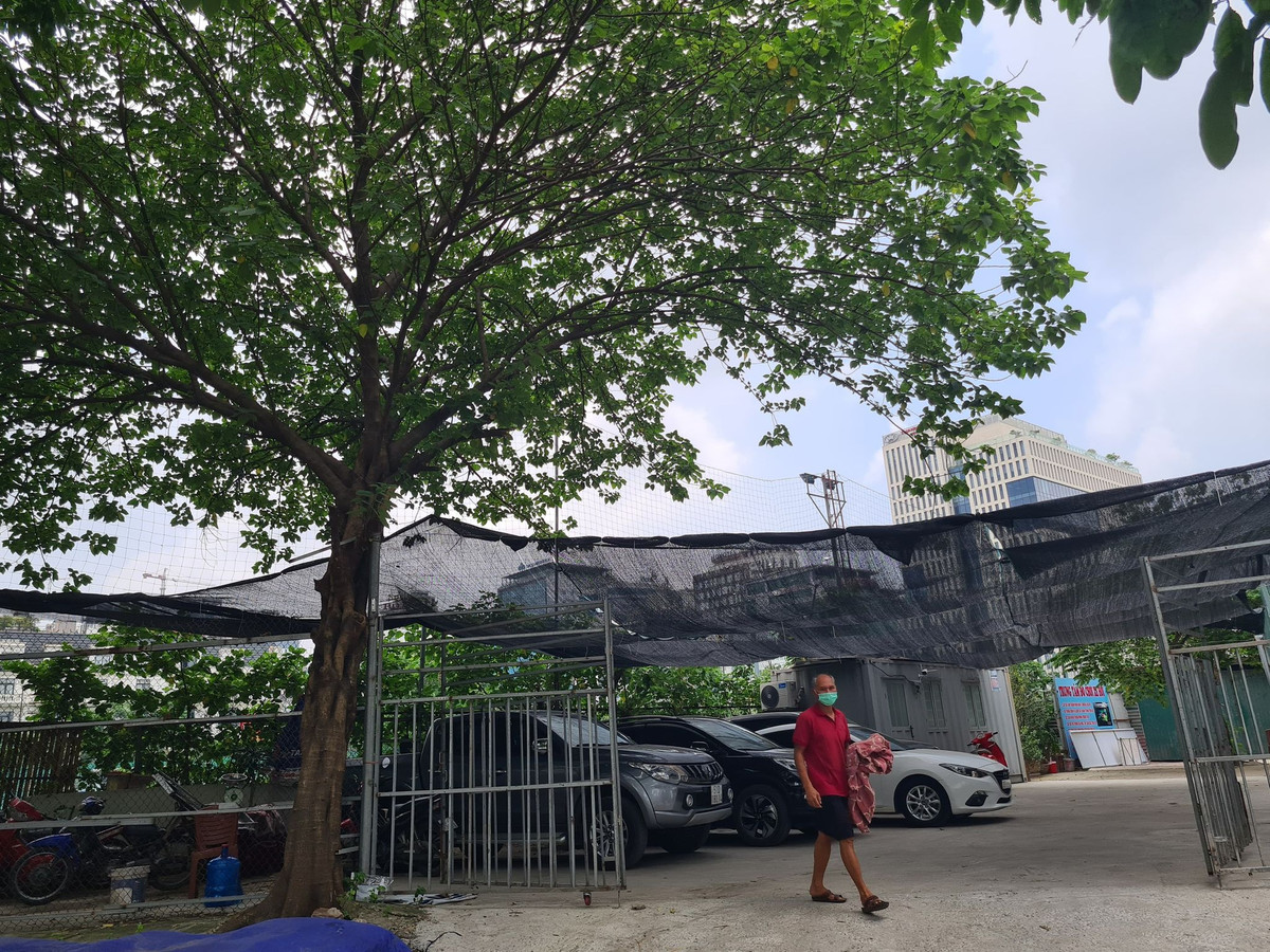 Lo dat D22 Dich Vong Hau bi “xe thit” kinh doanh trai phep bat chap lenh cua chu tich phuong?-Hinh-2