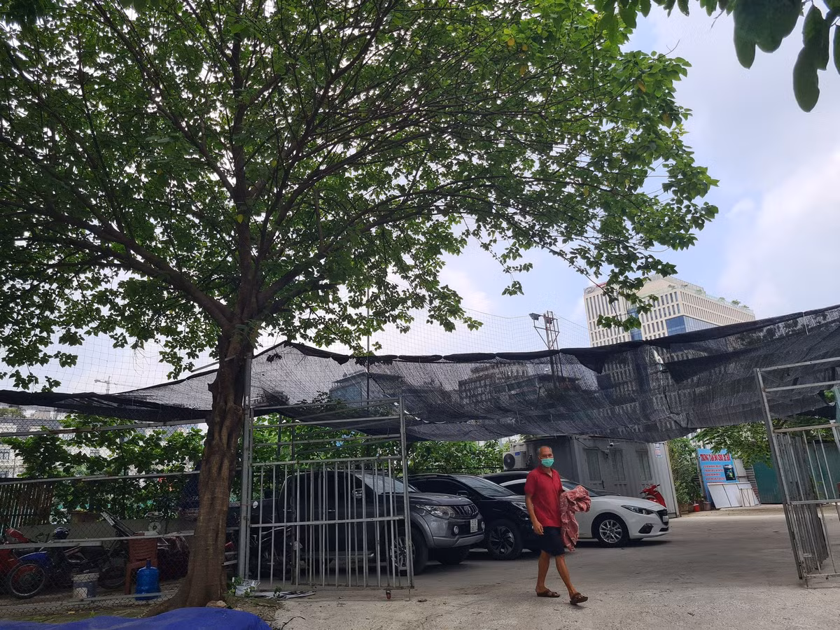 Lo dat D22 Dich Vong Hau bi “xe thit” kinh doanh trai phep bat chap lenh cua chu tich phuong?-Hinh-2