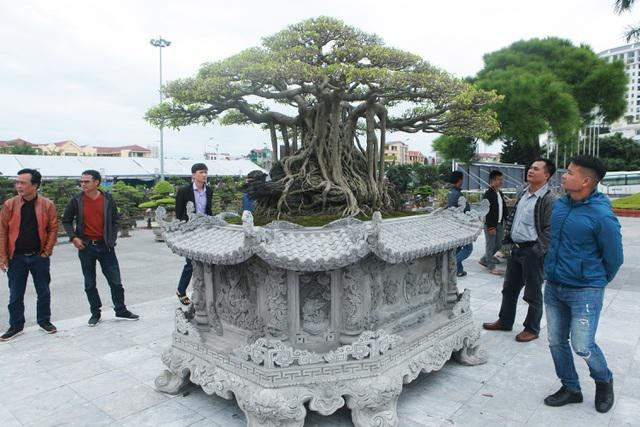 Nguoi dan ong coi cay canh nhu tri ky, khach tra gia nao cung khong ban-Hinh-8