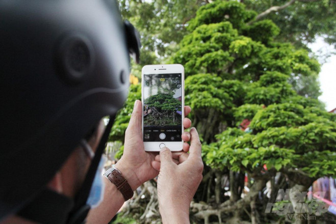 Nguoi dan ong coi cay canh nhu tri ky, khach tra gia nao cung khong ban-Hinh-6