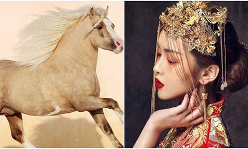 Chưa kể, họ sẽ gặp được mối nhân duyên tốt, nhân duyên này sẽ đem lại nhiều may mắn và tài vận cho tuổi Ngọ trong những năm về sau. Thời gian cuối năm 2021, tuổi Ngọ sẽ nhận được hỷ sự gặp điều mà họ chưa bao giờ nghĩ đến, cuộc sống sẽ thăng hoa đến tầm cao mới đến không ngờ.