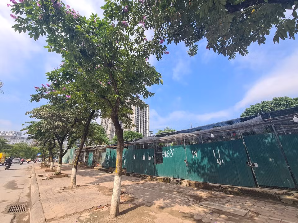 Lo dat D22 Dich Vong Hau bi “xe thit”: Chu tich phuong noi gi?