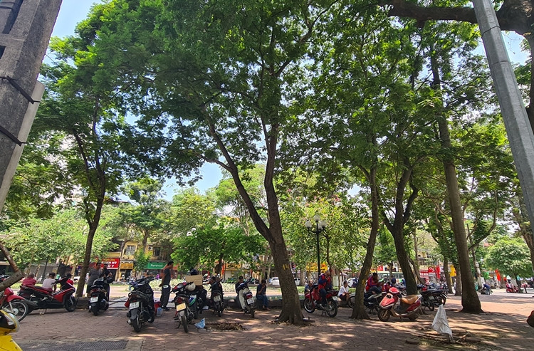 Tại khu vực vườn hoa Hàng Đậu (Hà Nội), tình trạng người dân tụ tập, bán trà vỉa hè đá vào sáng ngày 4/5 vô cùng rôm rả.