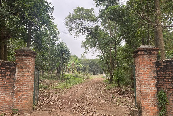 Khach hang to bi lua dao tai du an khu nha o do thi Viet Thanh?-Hinh-3