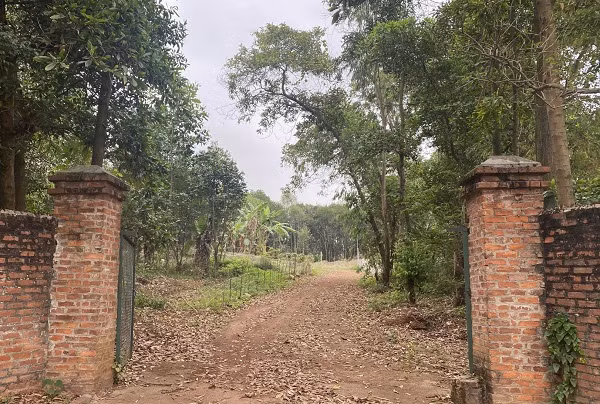 Khach hang to bi lua dao tai du an khu nha o do thi Viet Thanh?-Hinh-3