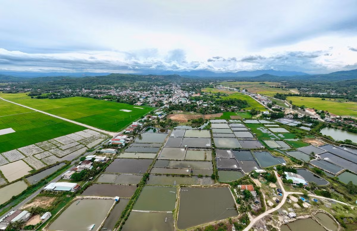 Binh Dinh dua 33 lo dat len san, khoi diem 4 trieu dong/m2