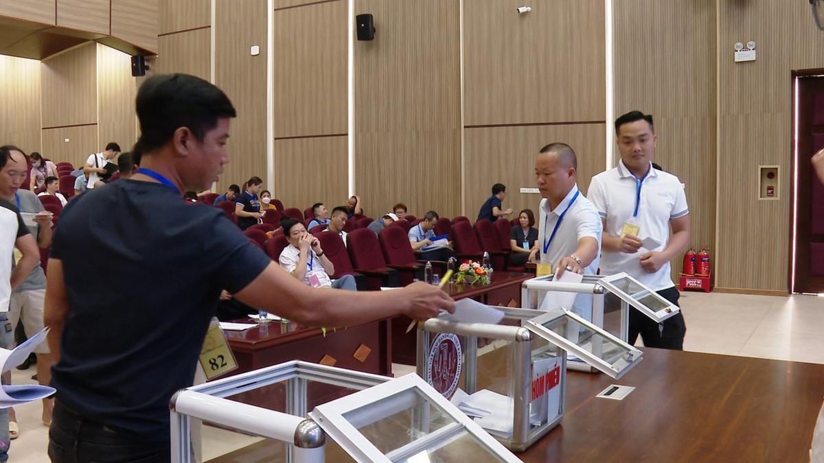 Ha Noi dau gia thanh cong 66 lo dat, du thu hon 500 ty