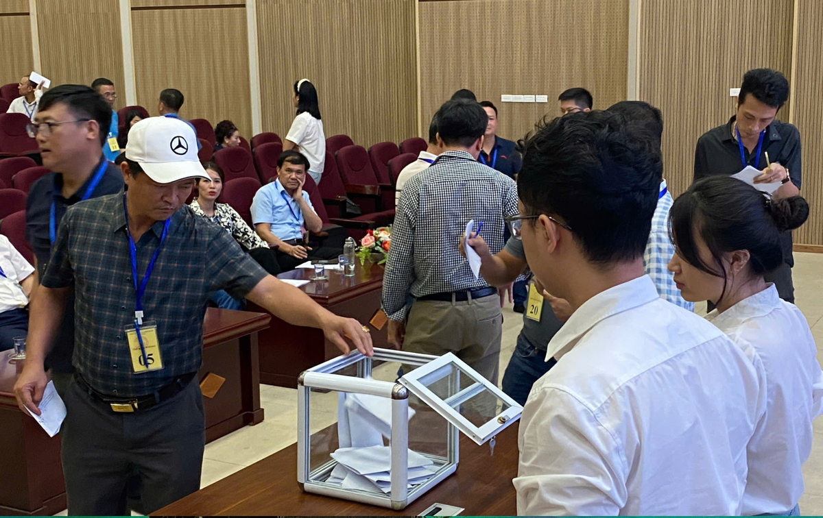 Ứng Hoà đấu thành công 24 lô đất, giá cao nhất 63,6 triệu/m² Ung Hoa dau thanh cong 24 lo dat, gia cao nhat 63,6 trieu/m²