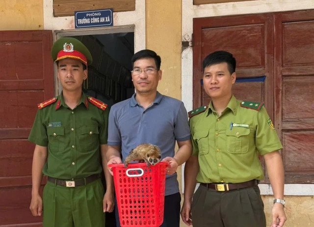 Nguoi dan Quang Binh giao nop ca the cu li cuc ky quy hiem