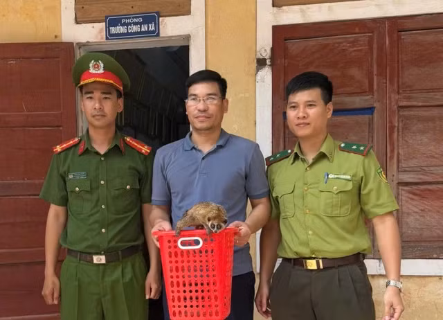 Nguoi dan Quang Binh giao nop ca the cu li cuc ky quy hiem