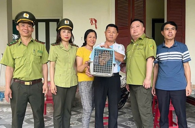 Chú cu li nhỏ quý hiếm được người dân tốt bụng giao nộp Chu cu li nho quy hiem duoc nguoi dan tot bung giao nop