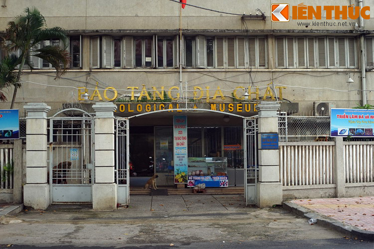 Nằm ở số 2, đường Nguyễn Bỉnh Khiêm, cạnh Thảo Cầm Viên Sài Gòn, Bảo tàng Địa chất TP HCM là một điểm tham quan lý thú dành cho những người thích khám phá thế giới tự nhiên.