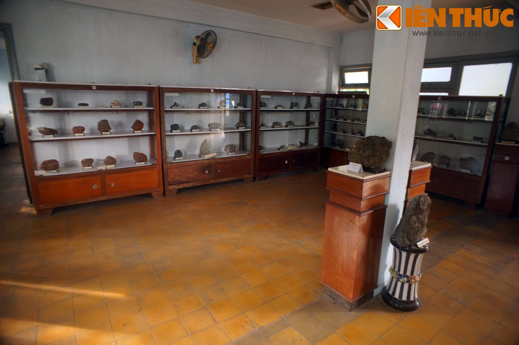 Bảo tàng Địa chất TP HCM mở cửa miễn phí cho du khách tham quan từ 8h đến 16h30 hàng ngày, trừ hai ngày cuối tuần.