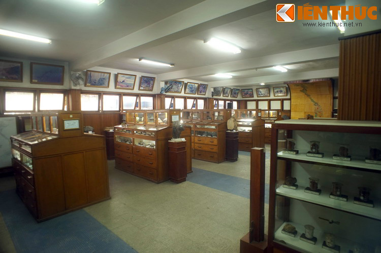 Được thành lập năm 1954, nơi đây lưu giữ hàng chục nghìn mẫu đá, hàng ngàn mét lõi khoan, 50 sưu tập mẫu cổ sinh vật, nhiều sưu tập mẫu khoáng sản của các mỏ điển hình của Việt Nam cũng như khoáng vật của các nơi trên thế giới.