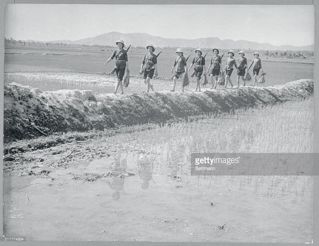 Những người nữ dân quân đi làm ruộng với cây súng trên vai, ngoại thành Hà Nội năm 1967. Ảnh: Bettman - GettyImages.