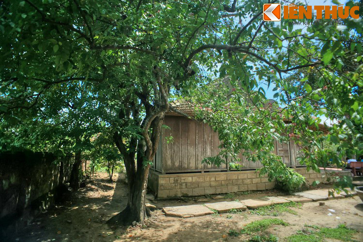 Không thể không kể đến cây khế hơn trăm tuổi do hai cụ thân sinh của Đại tướng trồng. Ngày xưa Đại tướng vẫn thường ngồi dưới gốc cây khế này để học bài. Cũng từ gốc cây khế cổ thụ này mới xác định được vị trí chính xác để phục dựng ngôi nhà Đại tướng trên nền đất cũ.