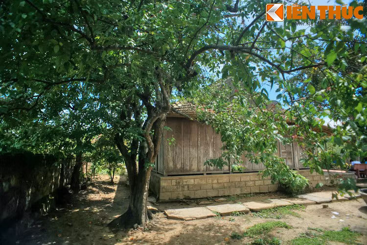 Không thể không kể đến cây khế hơn trăm tuổi do hai cụ thân sinh của Đại tướng trồng. Ngày xưa Đại tướng vẫn thường ngồi dưới gốc cây khế này để học bài. Cũng từ gốc cây khế cổ thụ này mới xác định được vị trí chính xác để phục dựng ngôi nhà Đại tướng trên nền đất cũ.