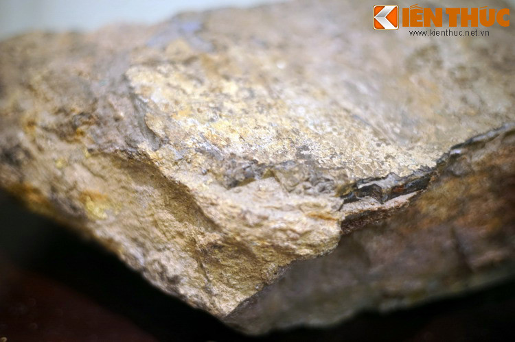 Cho đến nay, Lào là quốc gia duy nhất trên thế giới phát hiện ra hóa thạch của loài khủng long Tangvaysaurus. Ngoài loài này, vào thập niên 1990 người ta còn tìm thấy hóa thạch một số loài khủng long khác ở Lào.