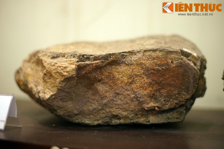 Sau này, các chuyên gia cổ sinh học quốc tế xác định các mẫu hóa thạch tìm thấy ở Lào thuộc về một loài khủng long có tên khoa học là Titanosaurus falloti. Vào cuối thập kỷ 1990, tên của loài khủng long này đã đươc đặt lại là Tangvaysaurus, nghĩa là thằn lằn bản Tangvay.