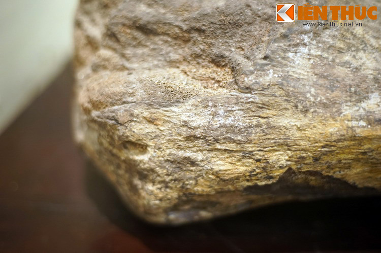 Một bảo tàng Khủng long đã được xây dựng ở tỉnh Savannakhet để trưng bày các mẫu vật được tìm thấy, trở thành địa điểm du lịch thu hút nhiều du khách ở Lào.