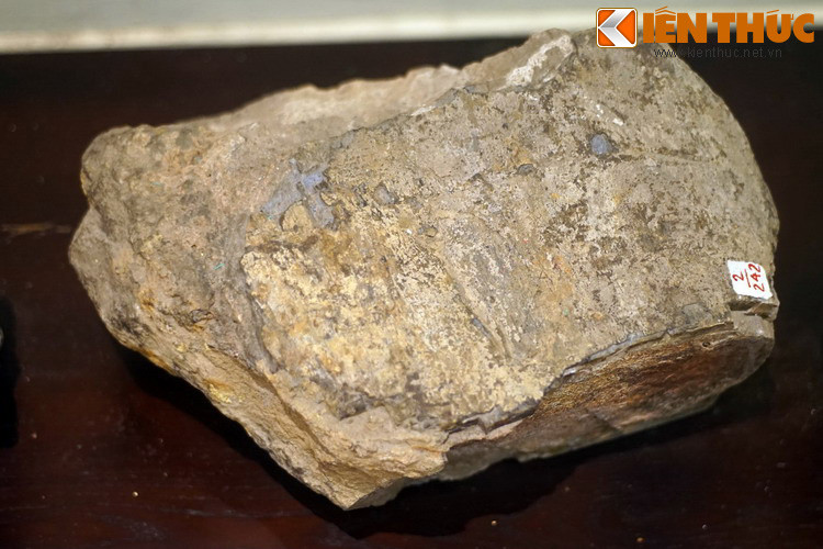 Ngược dòng lịch sử, vào năm 1936, trong khi nghiên cứu bản đồ địa vùng Hạ Lào, nhà địa chất học người Pháp Josué Heilman Hoffet đã phát hiện ra nhiều mẫu xương hóa thạch trong khu vực Bản Tangvai, mường Pha Lan, thuộc tỉnh Savanakhet, cách biên giới Việt-Lào khoảng 200 km.