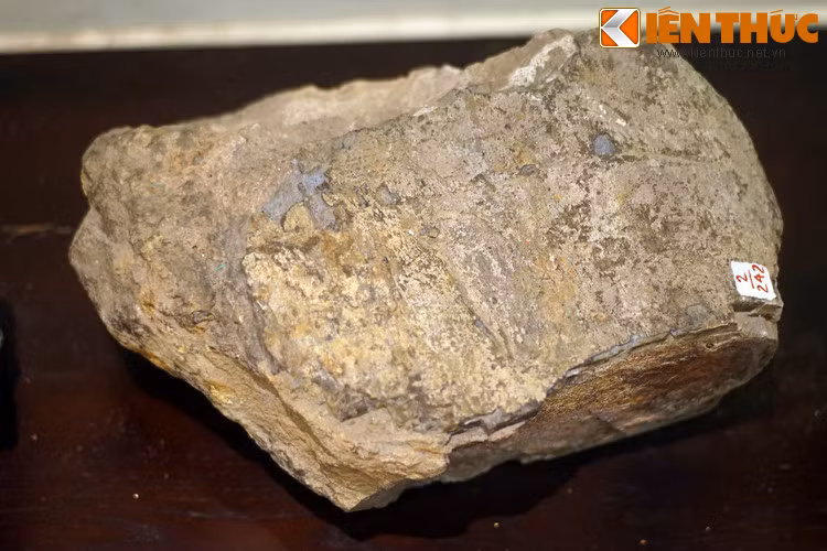 Ngược dòng lịch sử, vào năm 1936, trong khi nghiên cứu bản đồ địa vùng Hạ Lào, nhà địa chất học người Pháp Josué Heilman Hoffet đã phát hiện ra nhiều mẫu xương hóa thạch trong khu vực Bản Tangvai, mường Pha Lan, thuộc tỉnh Savanakhet, cách biên giới Việt-Lào khoảng 200 km.