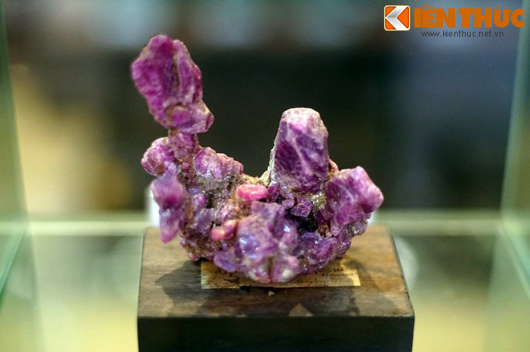 Sắc màu kiêu sa của chùm tinh thể corindon biến loại ruby, thu thập ở Lục Yên, Yên Bái năm 1992. Khoáng vật này có độ cứng rất cao, được dùng để chế tác đá quý cũng như ứng dụng trong công nghiệp.