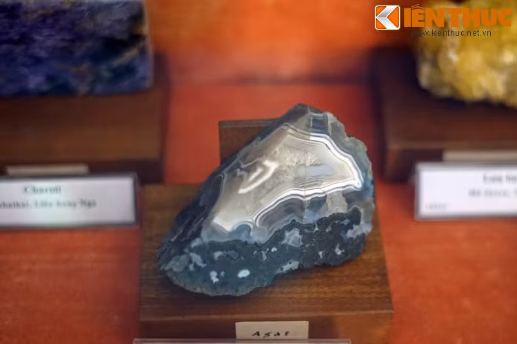 Ngoài các mẫu địa chất thu thập trong nước, Bảo tàng Địa chất Việt Nam còn có nhiều mẫu vật độc đáo đến từ nước ngoài, ví dụ như mẫu đá agat đến từ Ural, Liên bang Nga này.