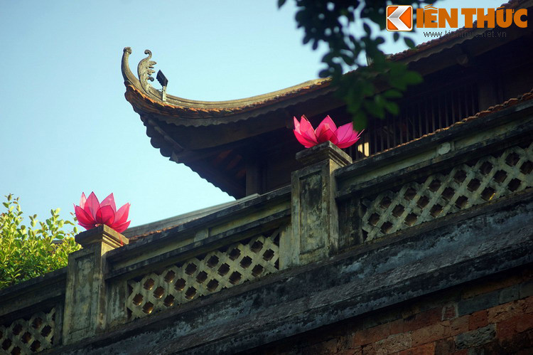 Người Pháp ngỏ ý muốn cứu chữa nhưng Nguyễn Tri Phương khẳng khái từ chối và nói rằng: "Bây giờ nếu ta chỉ gắng lây lất mà sống, sao bằng thung dung chết về việc nghĩa". Sau đó, ông tuyệt thực và mất vào ngày 20/12/1873.