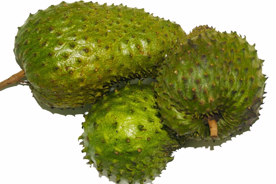 Người ta thường sử dụng quả mãng cầu để cung cấp thêm chất dinh dưỡng, vitamin, cho người suy nhược cơ thể, ăn uống kém.