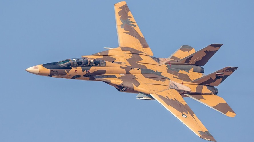 "Tôi thấy không có lý do gì để áp đặt lệnh cấm vận vũ khí đối với Iran. Về mặt kỹ thuật, nó thậm chí không phải một lệnh cấm vận mà chỉ là một hạn ngạch nhất định cho việc mua hàng".