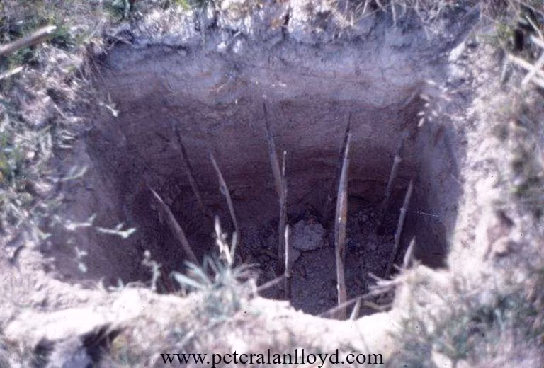 Nhiều hố chông được đào rất sâu xuống dưới lòng đất, khiến khi nạn nhân xấu số bị rơi xuống sẽ gặp phải nhiều chấn thương hơn và đồng đội của anh ta gặp phải khó khăn khi muốn cứu anh ta ra. Nguồn ảnh: Peter.