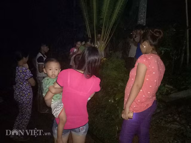 Chong den ca dem de ngam cay van tue “de” 400 “trung vang"-Hinh-4