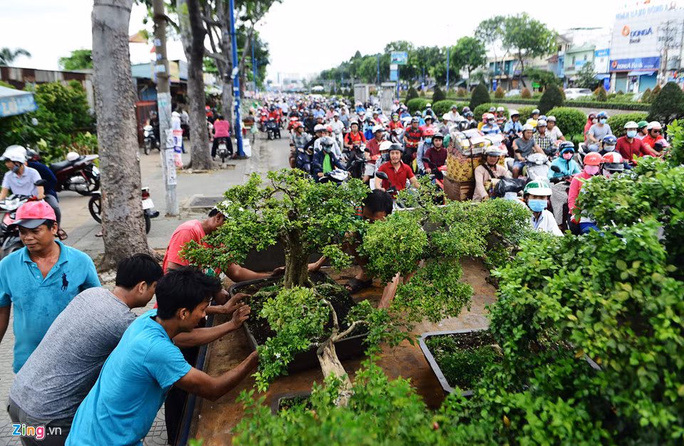 Chị Cú Lủ, chủ kiốt cây cảnh rộng hàng trăm m2, cho hay những ngày qua đã treo bảng giảm giá đến 30%. Một cây cảnh bình thường chị bán khoảng 30 triệu đồng nhưng nay giảm xuống còn hơn chục triệu.