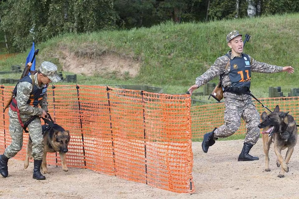 "Những Người Bạn Trung Thành" là phần thi đặc biệt thường niên trong các kỳ đại hội quân sự Army Game dành cho các đơn vị chó nghiệp vụ của quân đội mỗi nước tham gia. Và các thí sinh chính của phần thi này chính là những chú chó. Nguồn ảnh: Armygame2017.